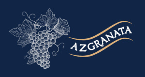 Azgranata: видеонаблюдение на заводе соков
